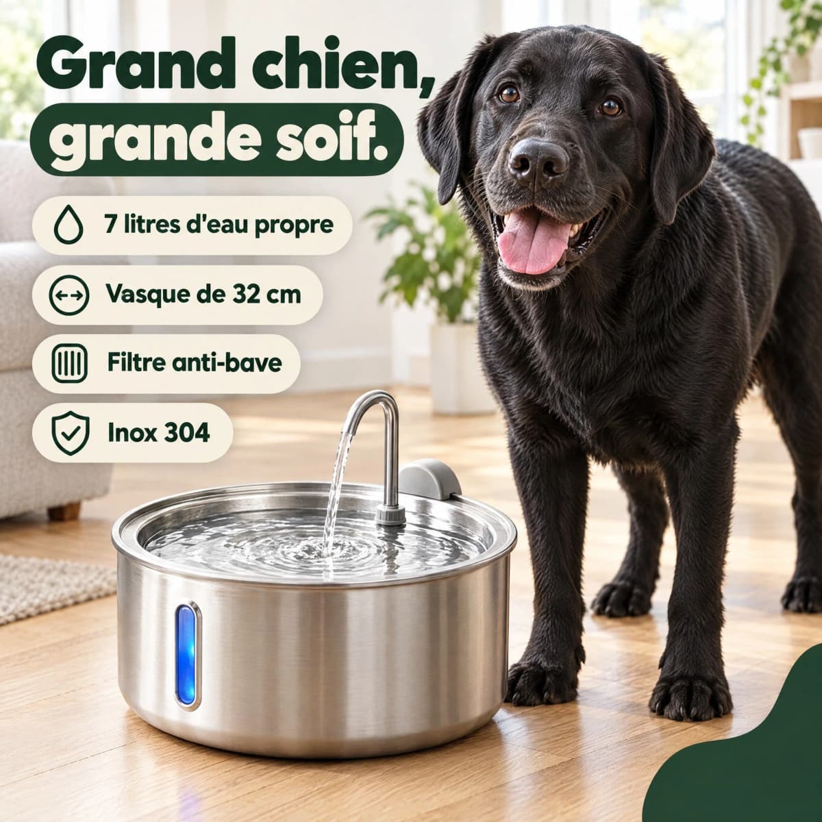 Grand chien, grande soif : 7 litres d’eau propre, vasque de 32 cm