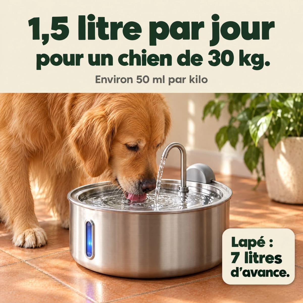 1,5 litre par jour pour un chien de 30 kg : Lapé, 7 litres d’avance