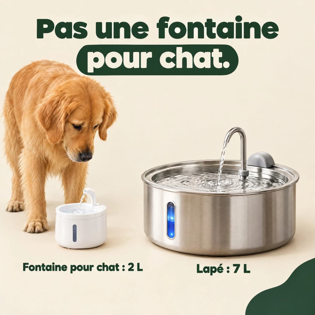Fontaine pour chat de 2 L à côté de la Lapé de 7 L